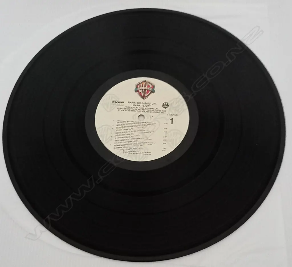 Hank Williams Jr., Hank "Live" Image 1++